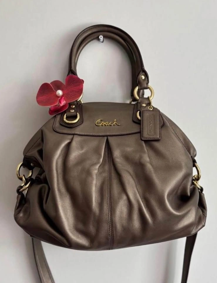 BNWOT Coach Ashley Leather Satchel 🤎