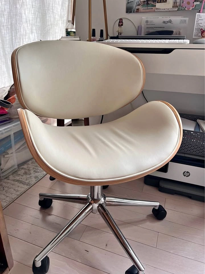 Adjustable Desk Chair