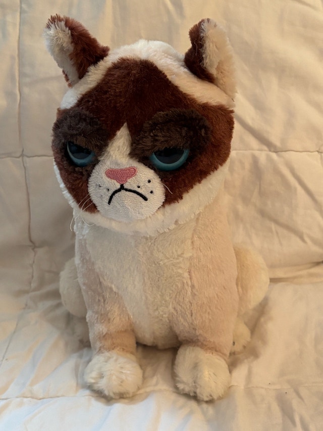 Grumpy Cat Plush Toy (May they RIP)