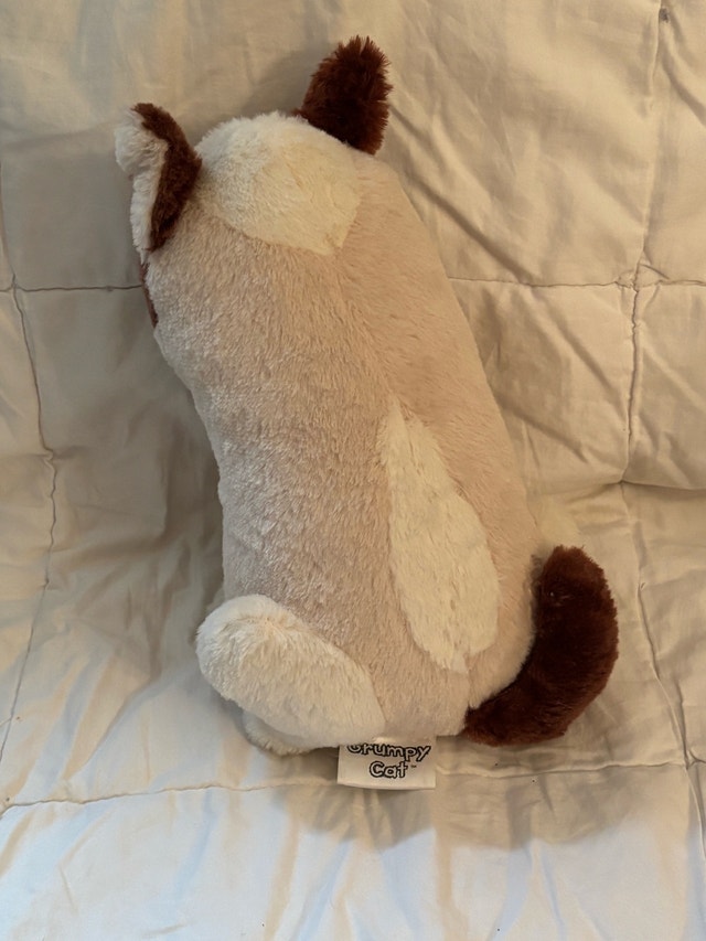 Grumpy Cat Plush Toy (May they RIP) - photo 2