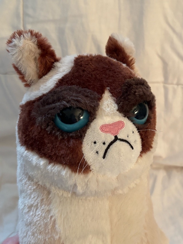 Grumpy Cat Plush Toy (May they RIP) - photo 3