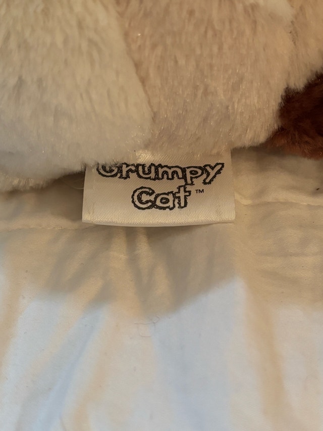 Grumpy Cat Plush Toy (May they RIP) - photo 4