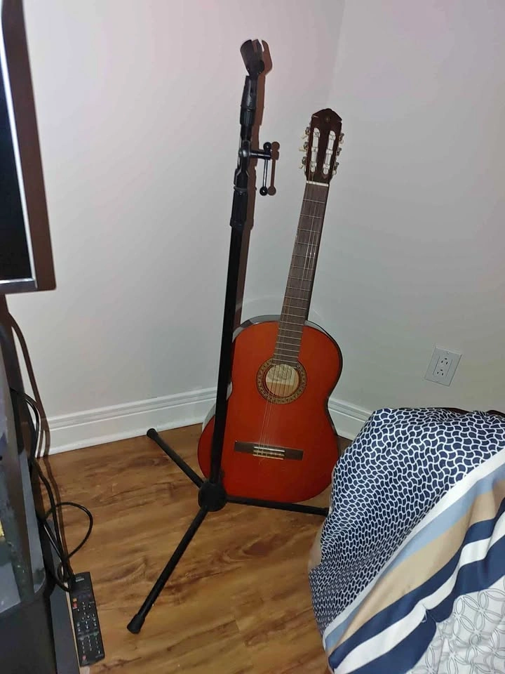 Mic stand