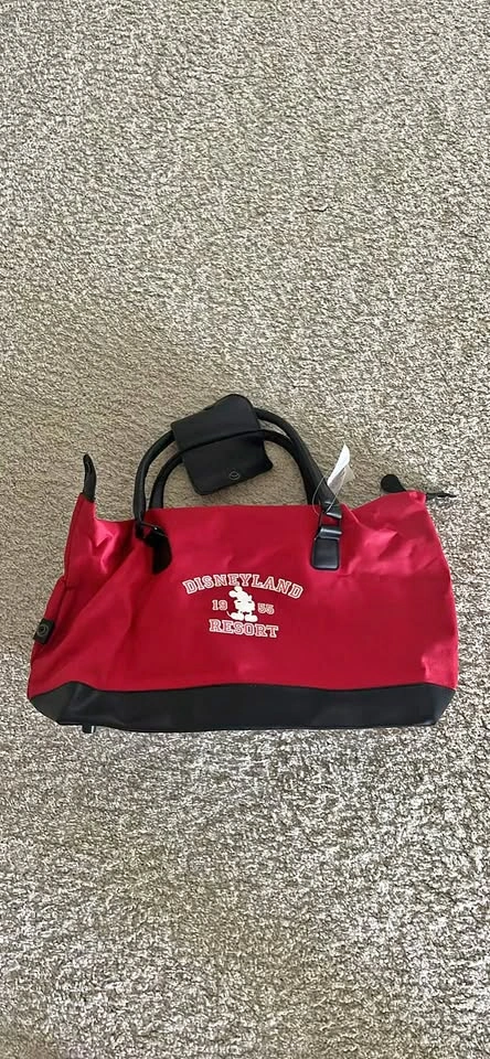 Disneyland Bag