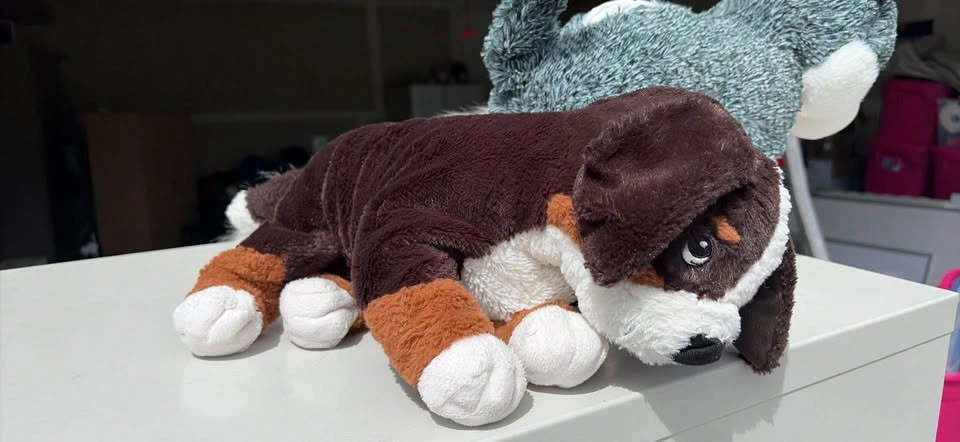 3 teddy bear - photo 3