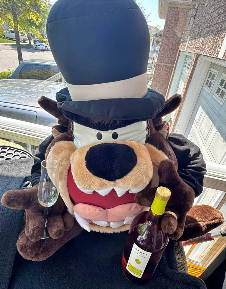 Gigantic RARE Tasmanian Devil TAZ Looney Tunes Groom 36” Plush