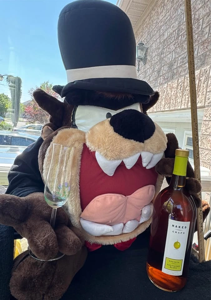 Gigantic RARE Tasmanian Devil TAZ Looney Tunes Groom 36” Plush - photo 2