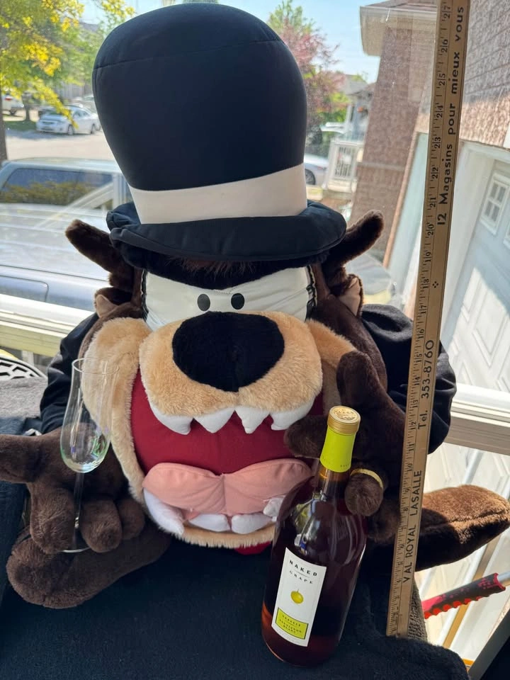 Gigantic RARE Tasmanian Devil TAZ Looney Tunes Groom 36” Plush - photo 4