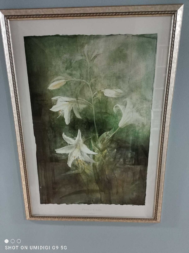 Pedro Cano Lilies Framed Print