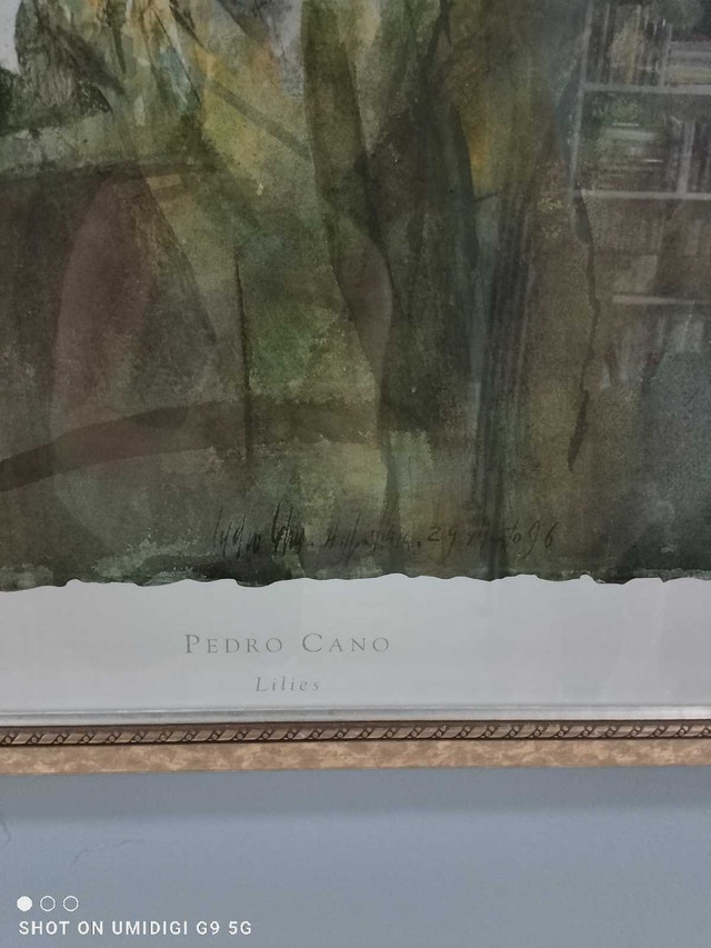 Pedro Cano Lilies Framed Print - photo 2