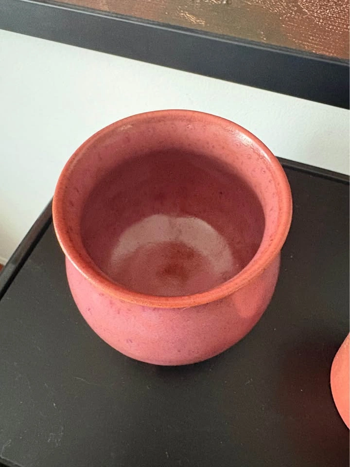 Succulent plant in new handmade pottery - photo 3
