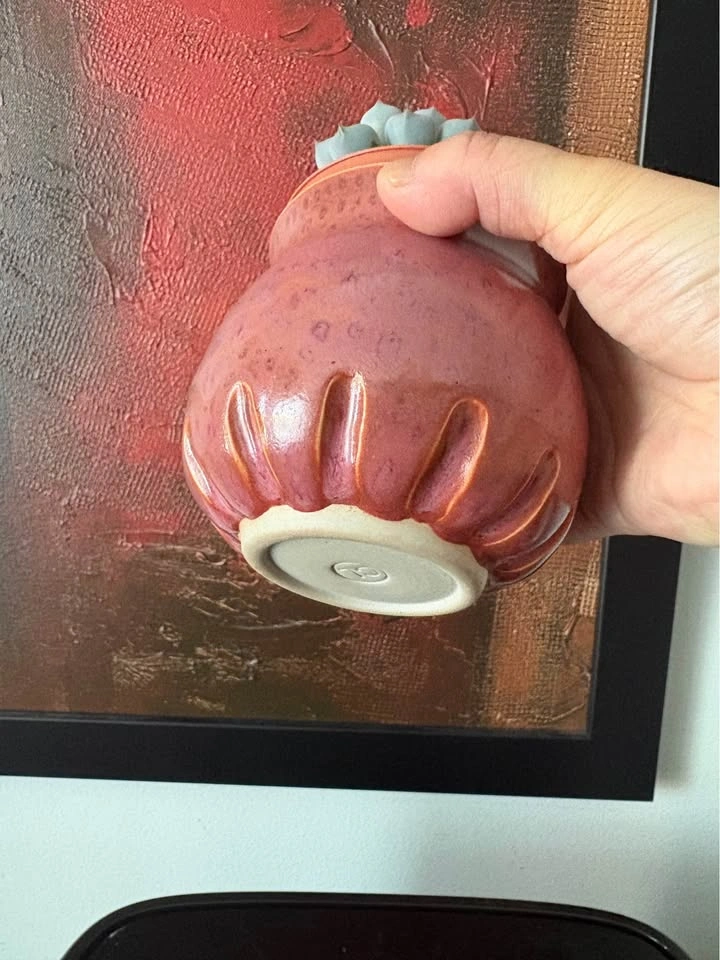 Succulent plant in new handmade pottery - photo 4
