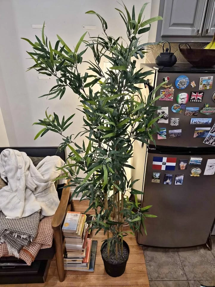 Fake Bamboo Plant