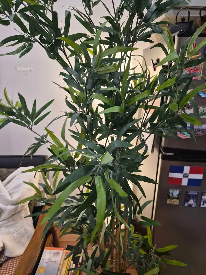 Fake Bamboo Plant - photo 3