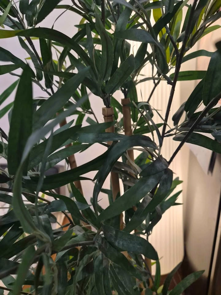 Fake Bamboo Plant - photo 4