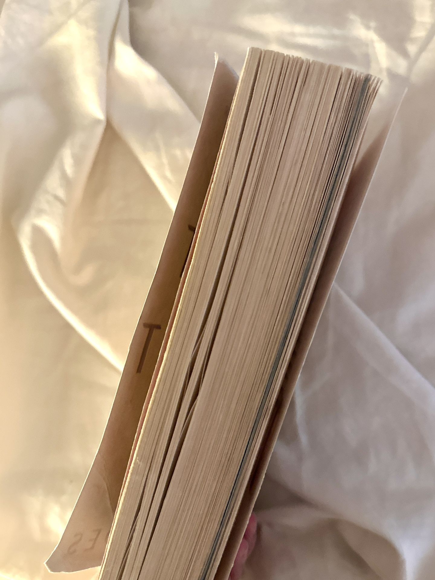 The Silent Patient (Book) - photo 4