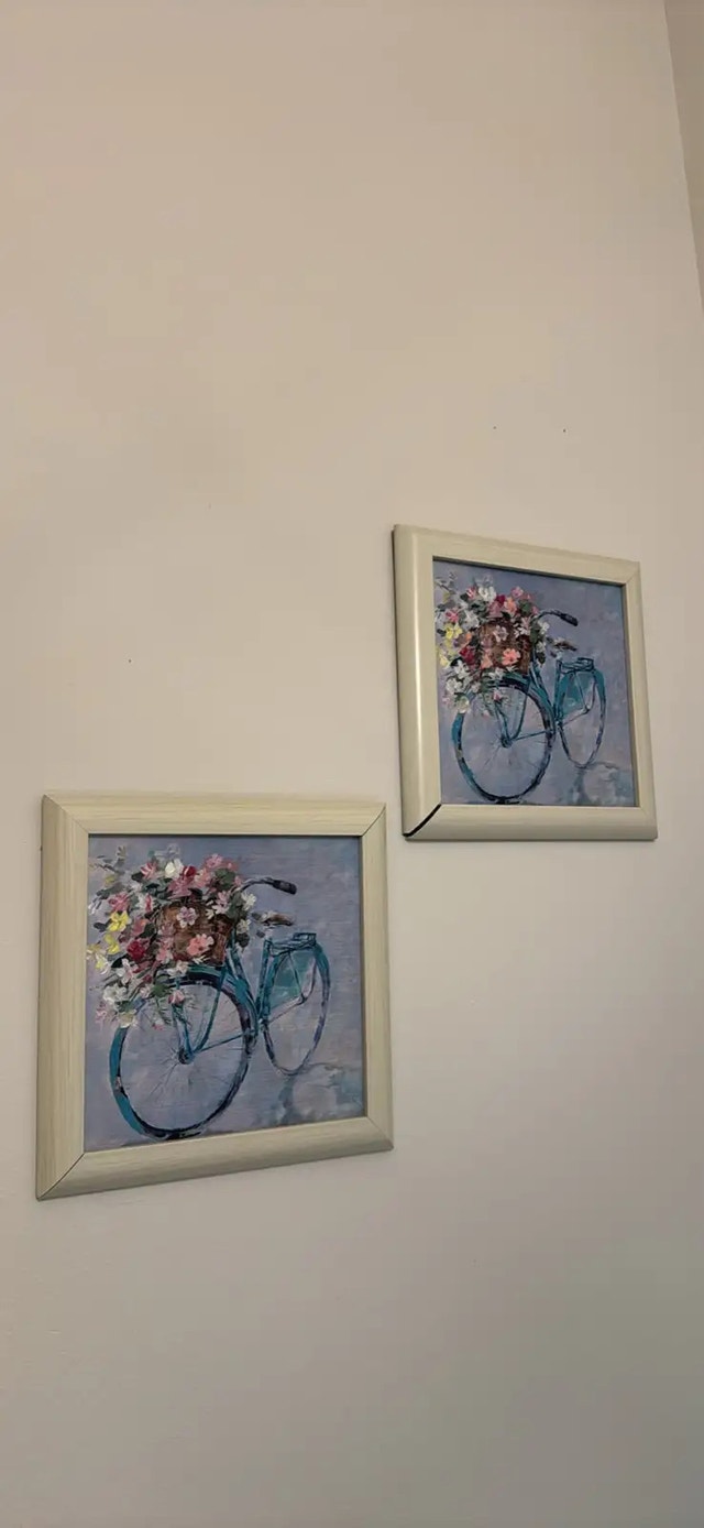 Bicycle Floral Wall Art Set