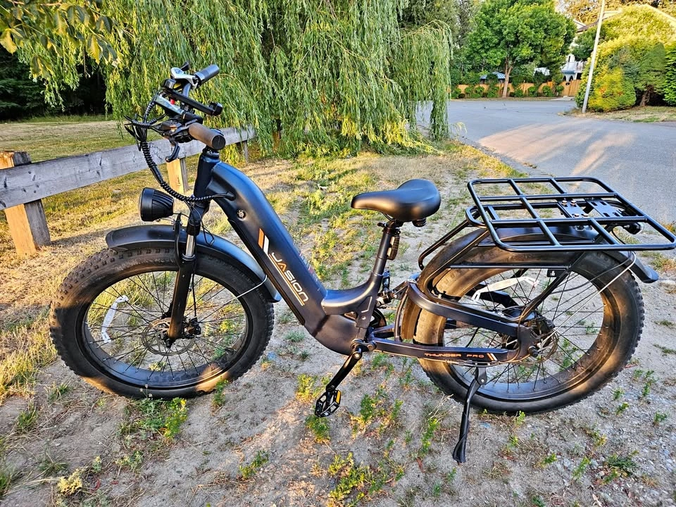 Jasion Thunder Pro ST Electric Bike - 52V 20Ah