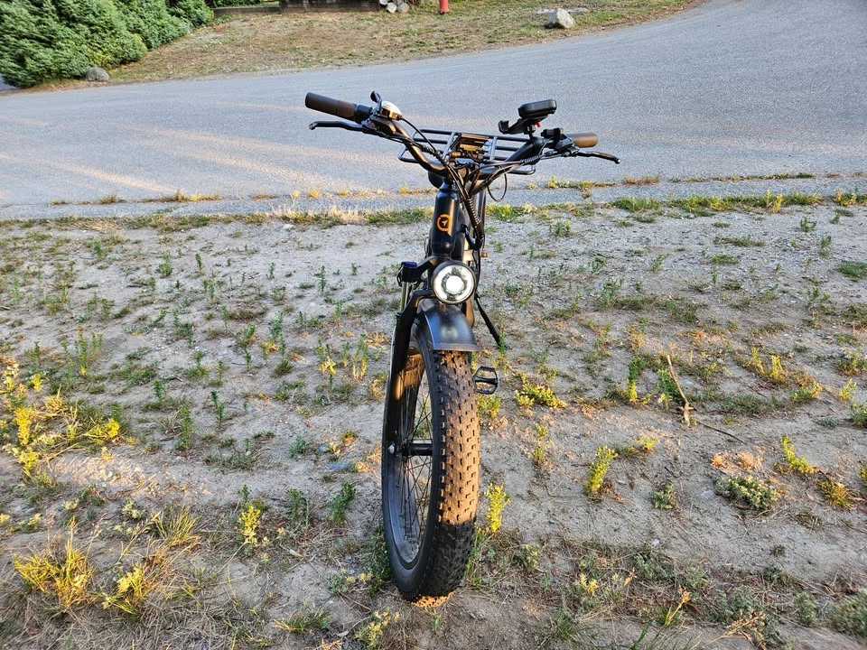 Jasion Thunder Pro ST Electric Bike - 52V 20Ah - photo 3