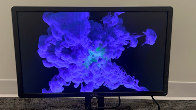 Dell Budget Friendly 24” Mountable Monitor || Working Perfectly