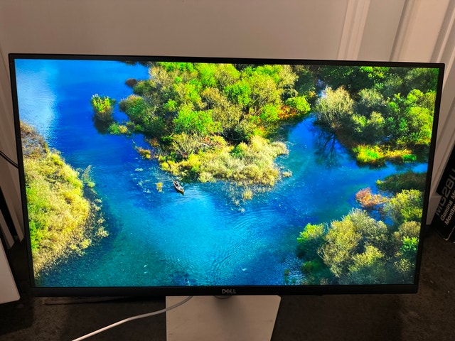 Dell Monitor