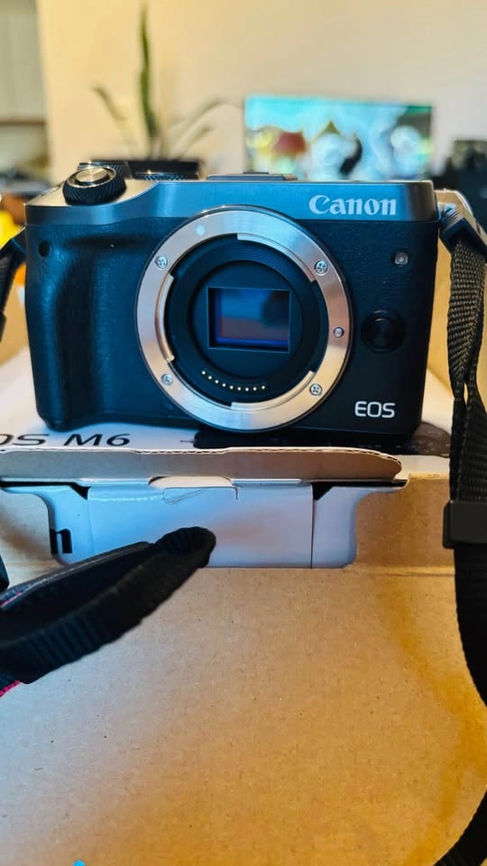 Canon EOS M6 Mirrorless Camera with 15-45mm Lens Kit - photo 2