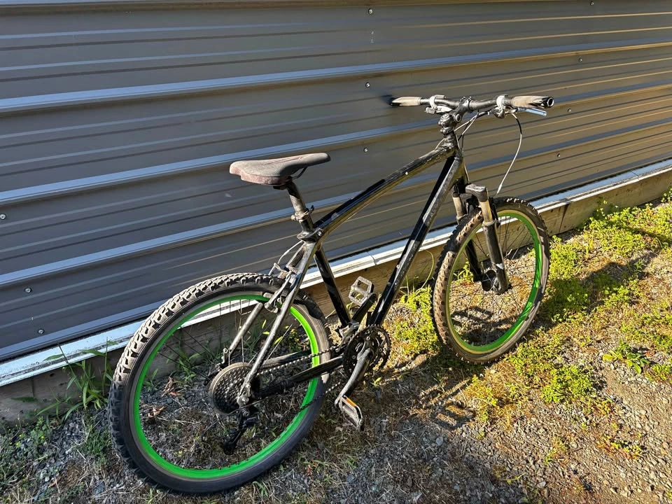 BMW M Pedal Bike