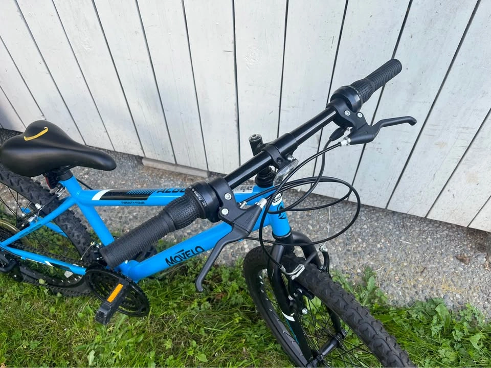 24" Movelo Algonquin Mountain Bike - Excellent Condition - photo 4