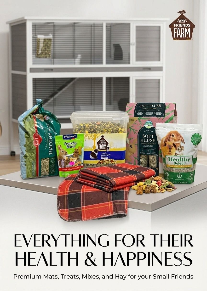 Make an offer! Guinea Pig & Small Pet Starter Supply Bundle