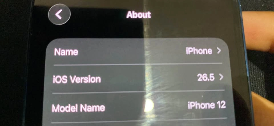 Apple iPhone 12 - photo 3