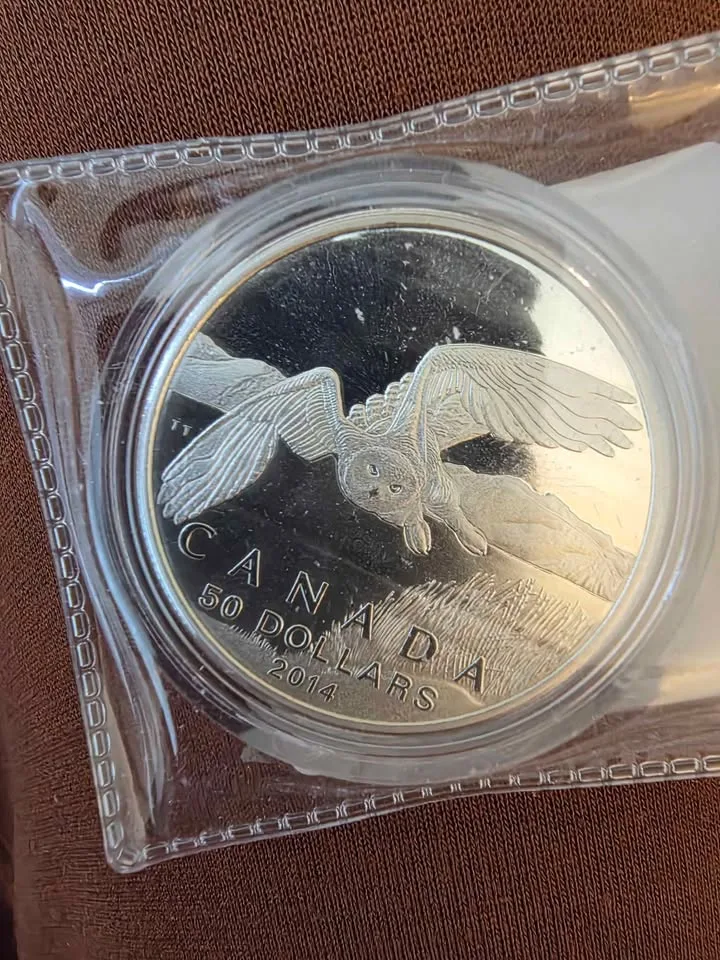2014 Canada $50 Snowy Owl Silver Coin image indicator(3)