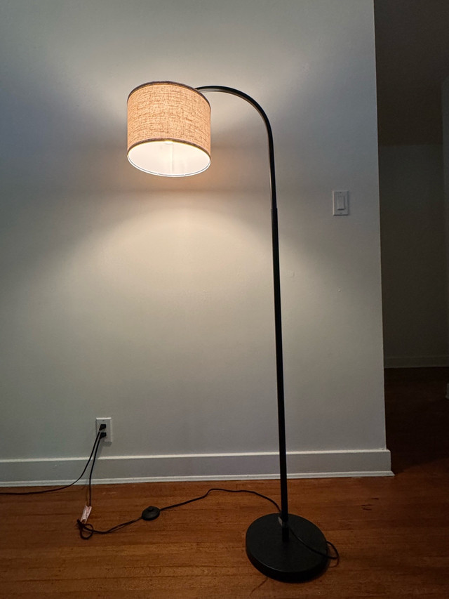 Modern Arched Floor Lamp - $65 OBO