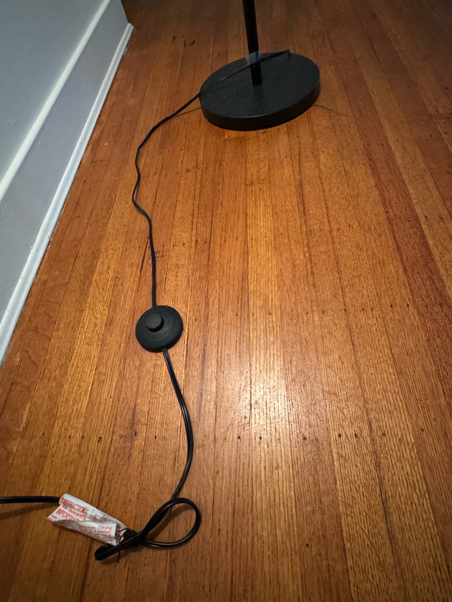 Modern Arched Floor Lamp - $65 OBO - photo 2