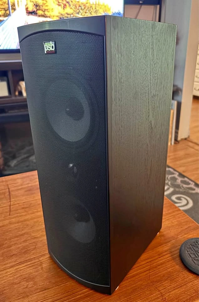 Legendary Canadian made PSB Alpha C Center Channel Speaker