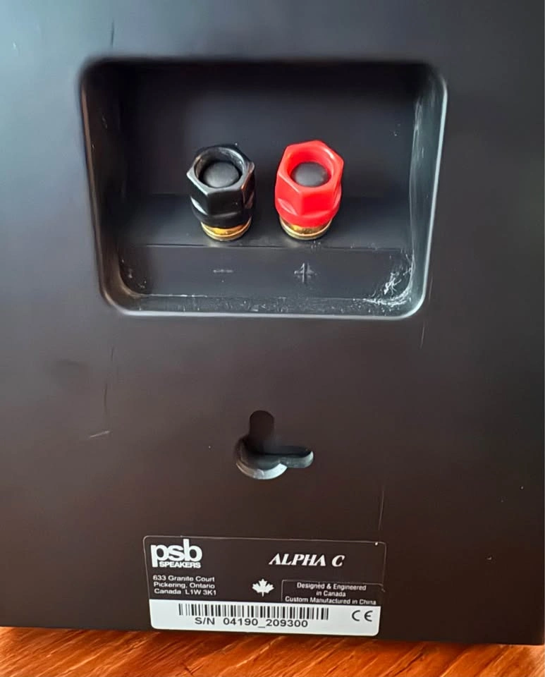 Legendary Canadian made PSB Alpha C Center Channel Speaker - photo 2