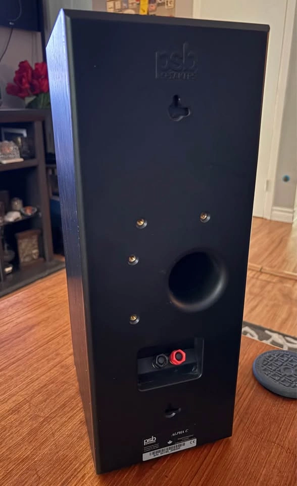 Legendary Canadian made PSB Alpha C Center Channel Speaker - photo 3