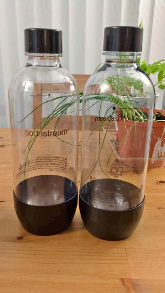 Sodastream bottles
