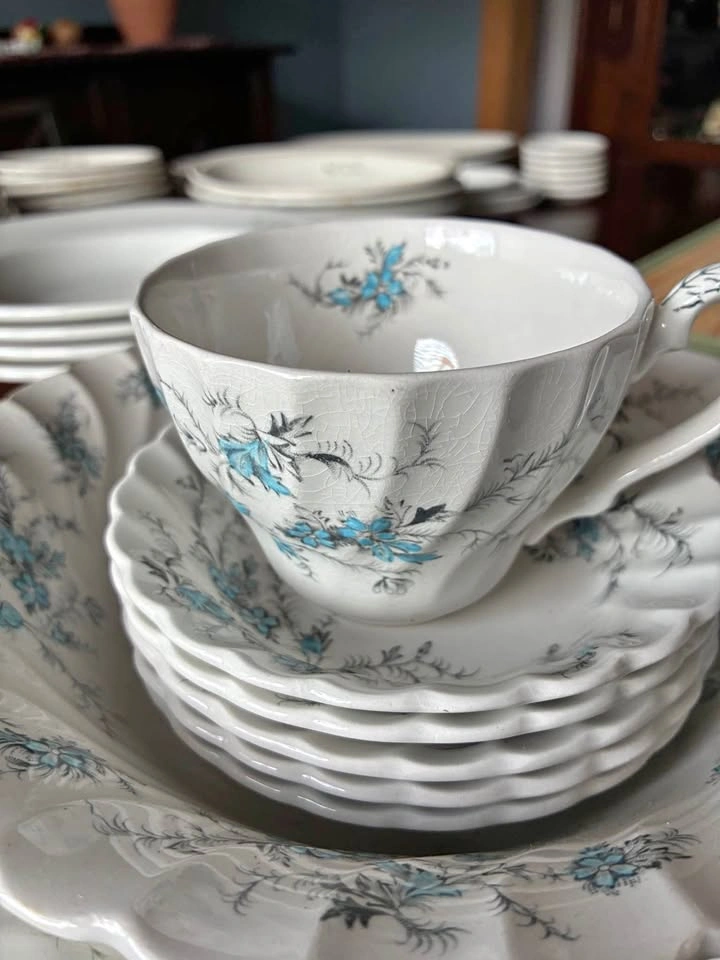 Myott’s of Staffordshire “China Lyke” Ware, Sound of Music