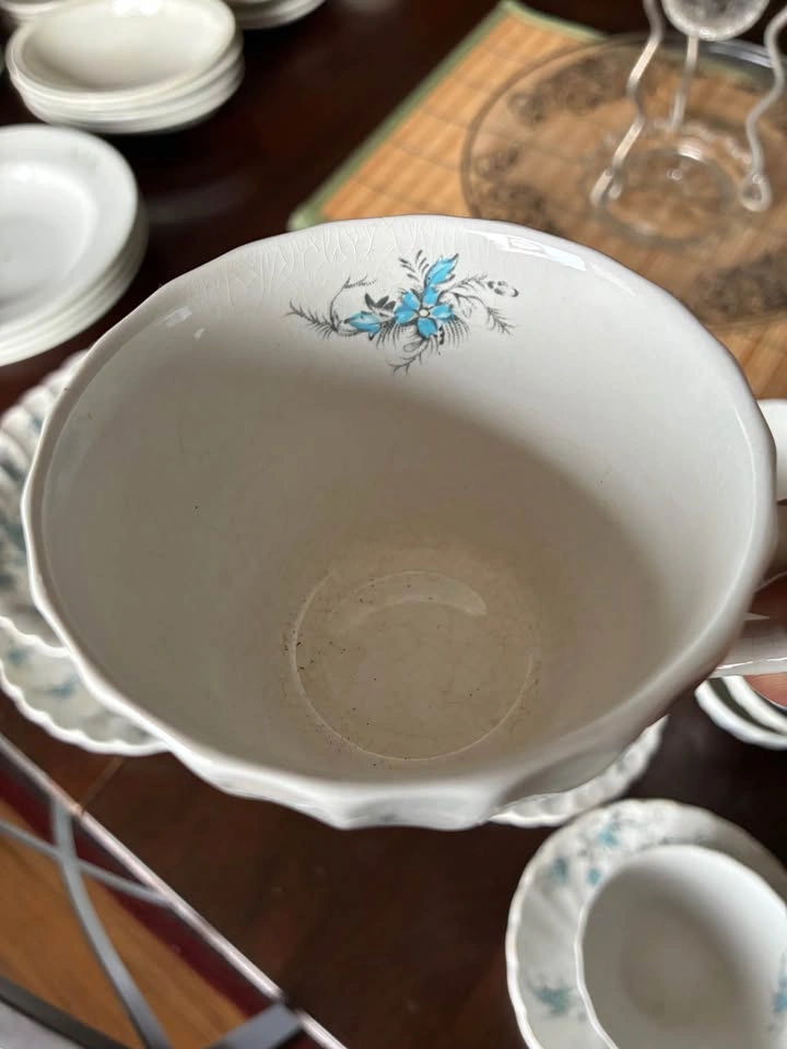 Myott’s of Staffordshire “China Lyke” Ware, Sound of Music - photo 5