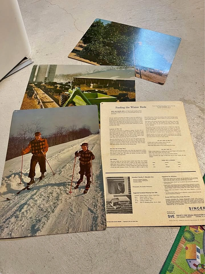 Lot of 100+ Vintage Society of Visual Education Posters