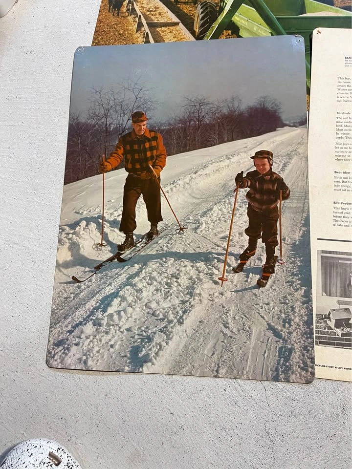 Lot of 100+ Vintage Society of Visual Education Posters - photo 2