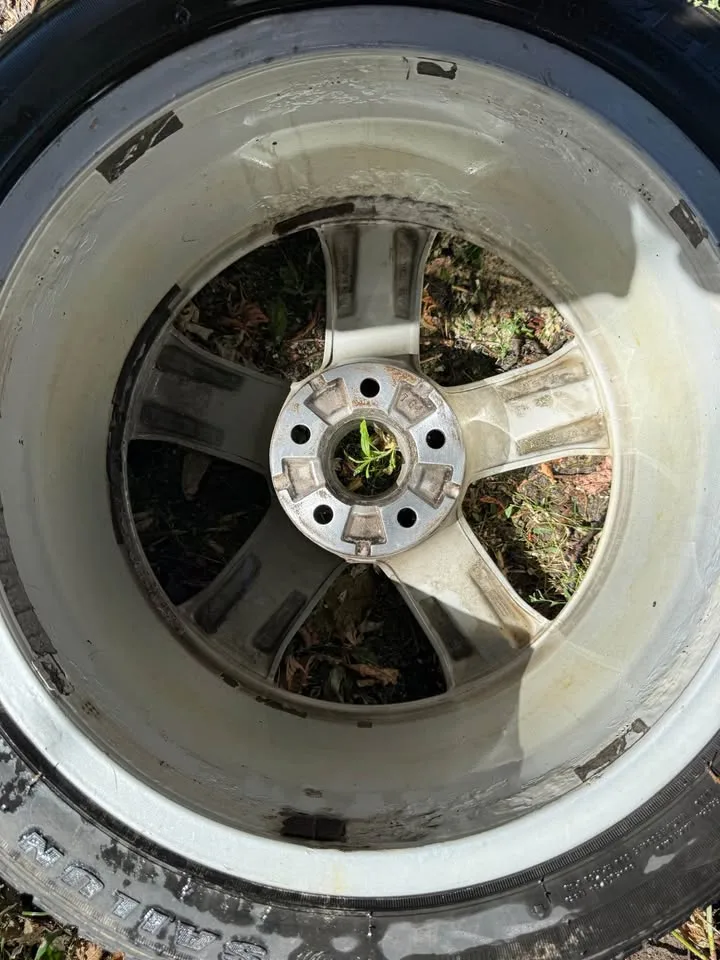 Audi A6 OEM Alloy Rims with Winter Tires – 18”, 5x112 image indicator(5)