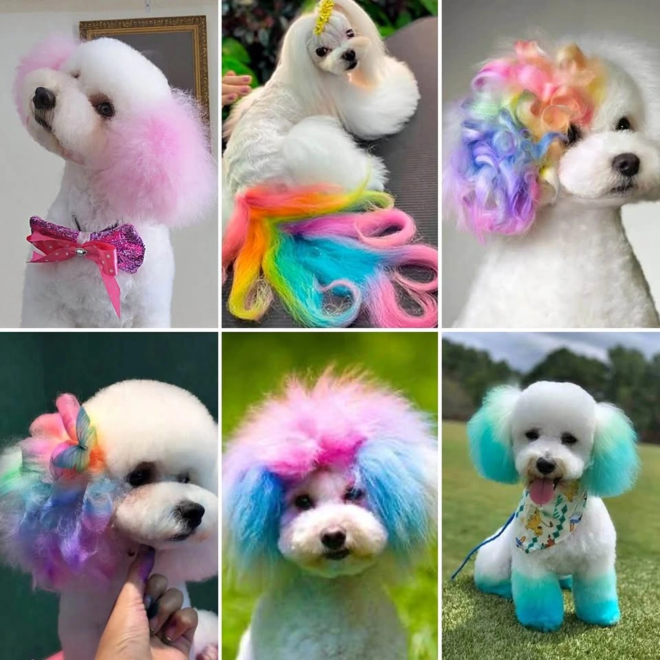 Brand New Groomer Quality Temporary Pet Colour