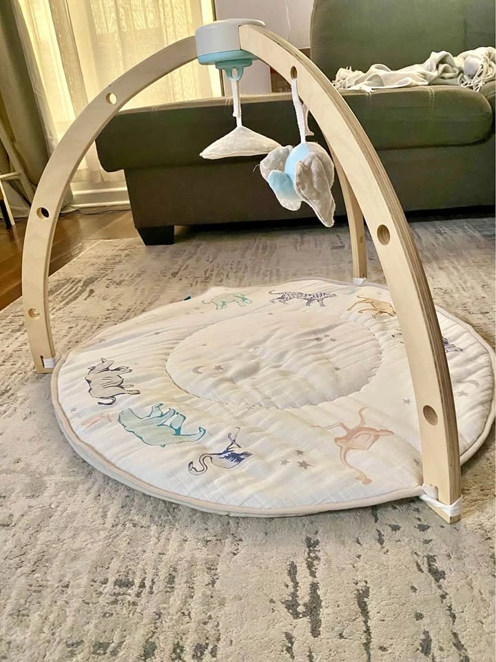 ADEN + ANAIS Rising Star Play + Discover Activity Gym