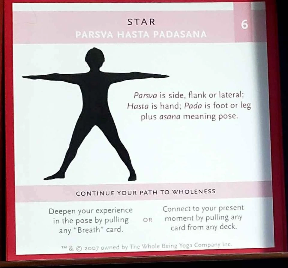 Yoga Wellness Booklet with Cards - photo 5