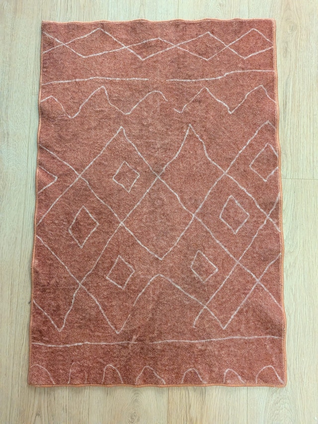 Antibacterial Front Door Mat Area Rug 2x3