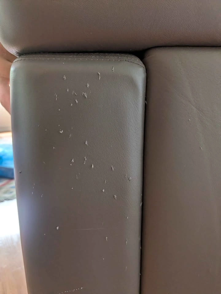 Gray Leather Armchair - photo 3
