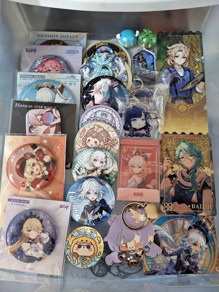 Genshin and honkai merch (pins)