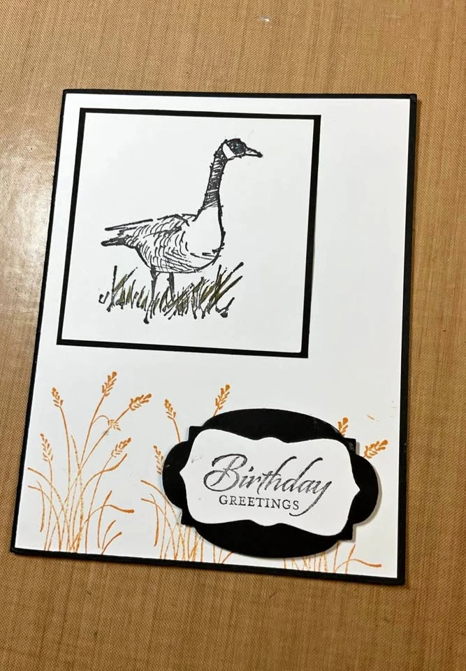 Birthday and Sympathy cards - Homemade