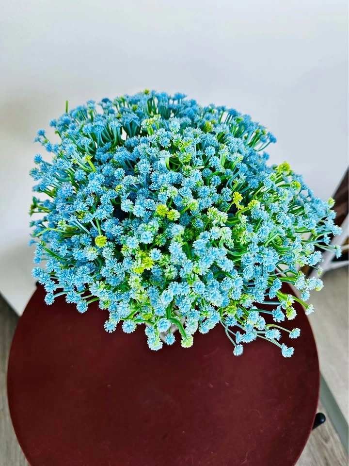 Wedding Florals Bulk Sale - photo 4